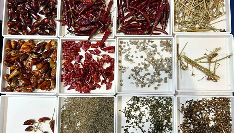 Selezionatore di colori per peperoncino AMD